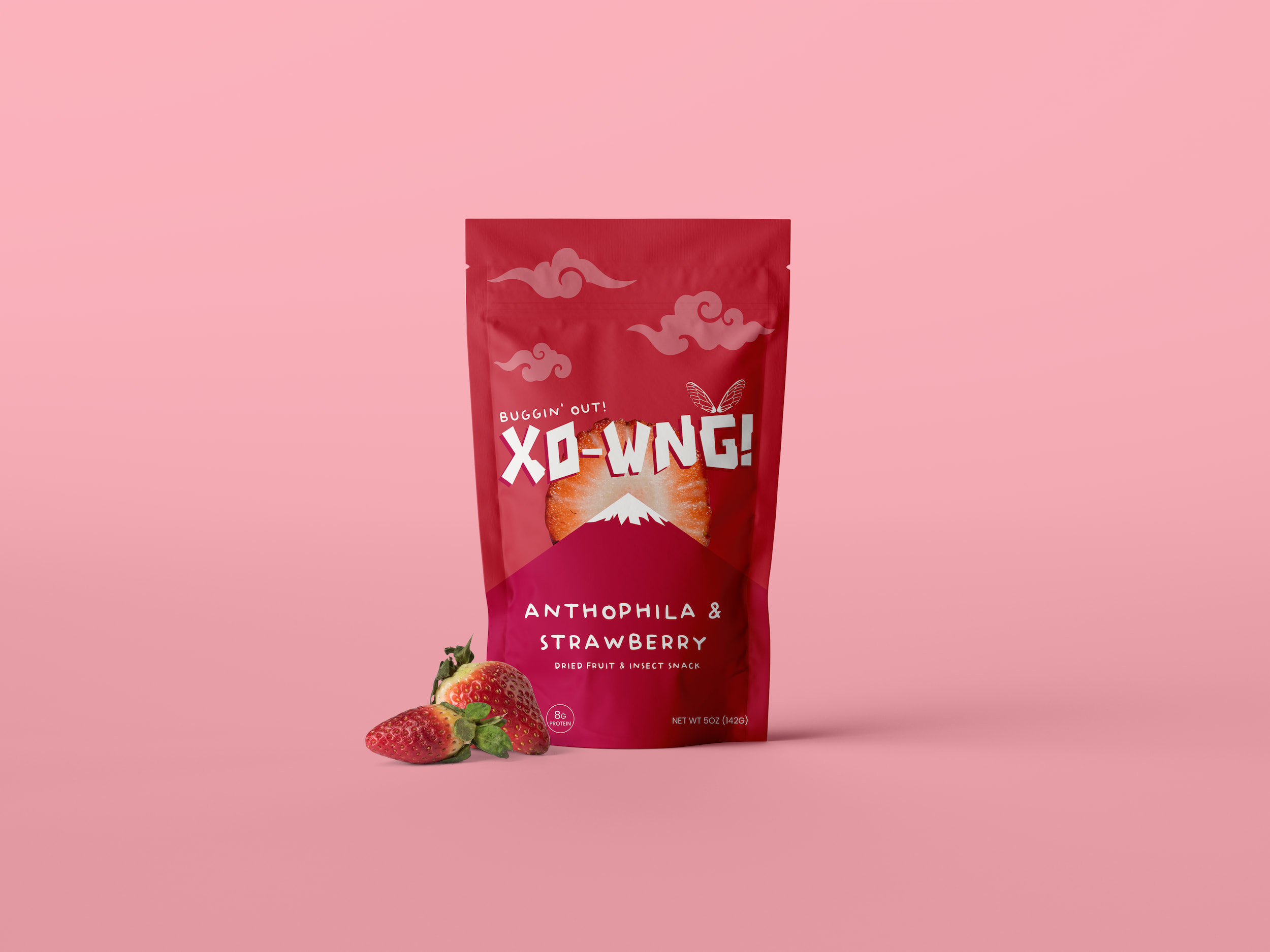 XO-WING